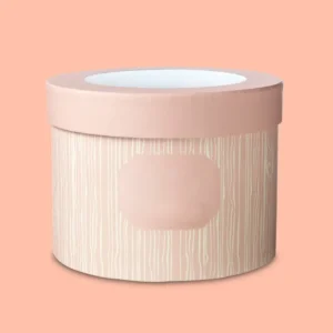 Clear Hat Boxes
